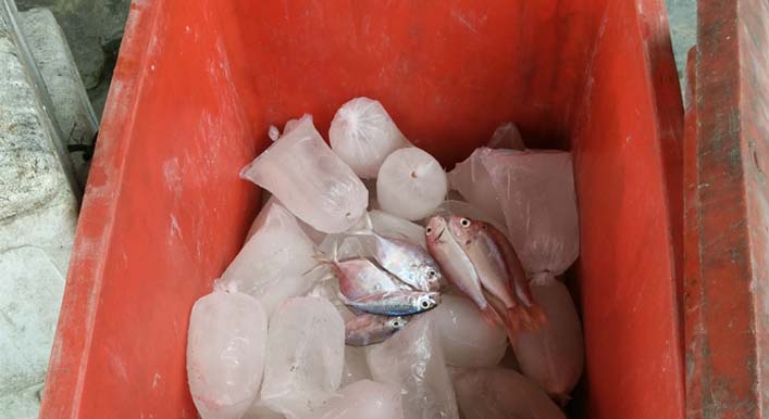 Ikan basah langka di pasaran  | Foto: Eksaudin Zebua
