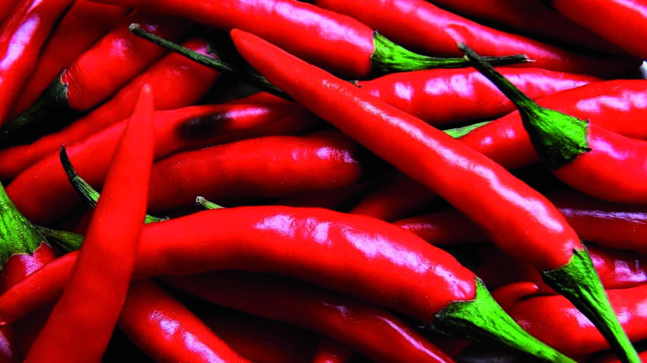 Harga Cabai Merah di Nias Selatan Tembus Rp. 90 Ribu/Kg