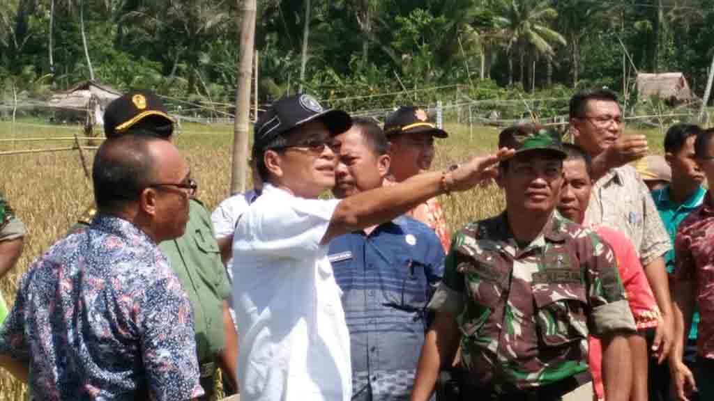 Pemkab Nisel Telah Buka 19 Ribu Hektar Lahan Produktif