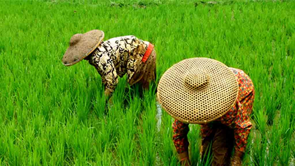 Guna Perpendek Rantai Distribusi, Toko Tani Akan Diperbanyak