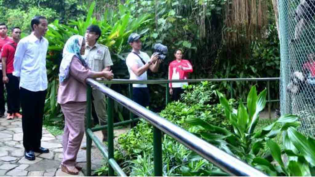 Jokowi bersama istri saat berkunjung ke Kebun Binatang Ragunan, Jakarta Selatan, Kamis (29/6/2017) silam. (Foto: BPMI)