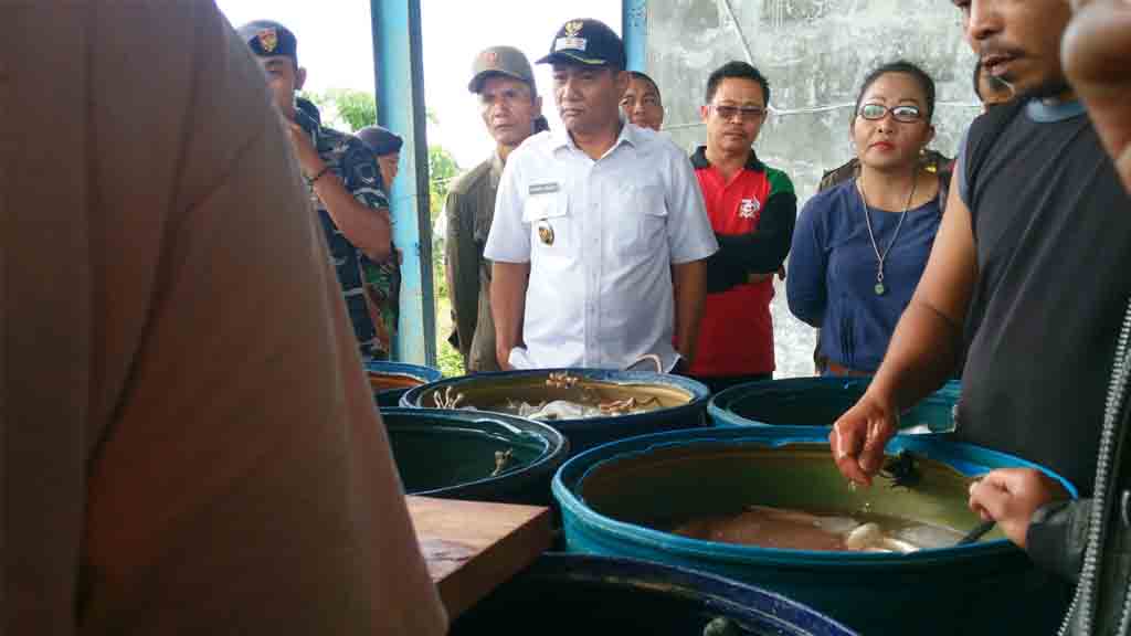 Diduga Gunakan Pukat Harimau, Nelayan Protes Penangkapan Ikan Mitra BUMD Nias Selatan