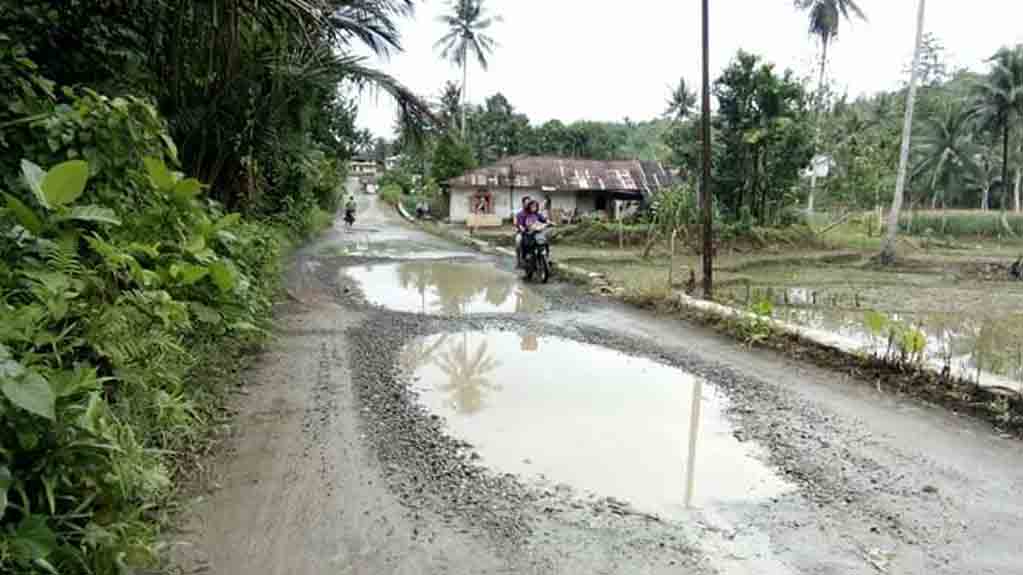 Warga Minta Pemkab Nias Selatan Tindak Tegas PT Netral Lindo Jaya Mandiri