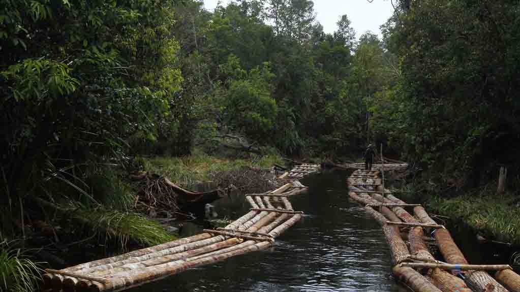 Tata Ruang Kalimantan Tengah Masih Terkendala Status Kawasan Hutan
