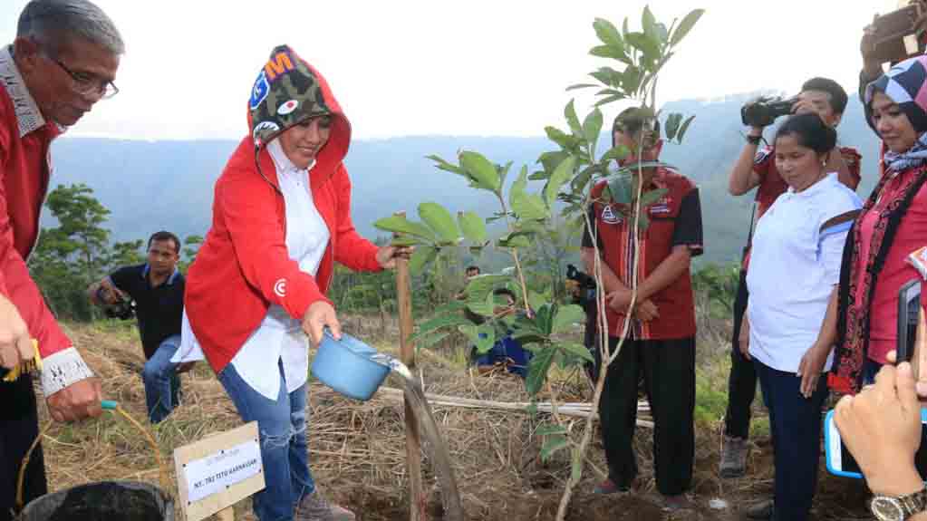 Penanaman Pohon di Kawasan Danau Toba Dinilai Sangat Perlu