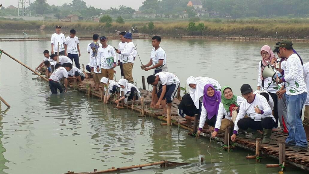 Dinas Perikanan Kabupaten Tangerang Ajak Siswa Tanam Mangrove