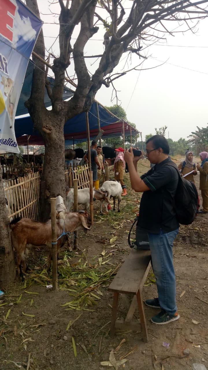 Pemkot Tangerang Cek Kesehatan Hewan Qurban