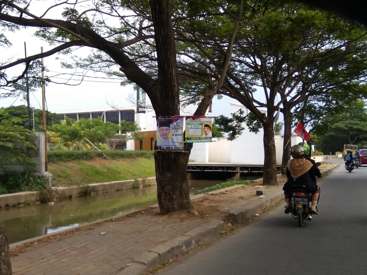 Ini Wajah-wajah Caleg yang Paku APK di Pohon di Kabupaten Tangerang