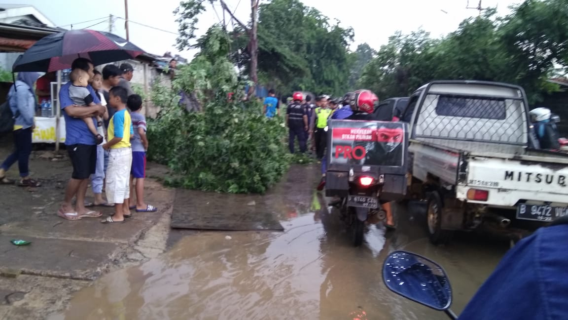 Pohon Setinggi 5 Meter Tumbang, Wilayah Cipondoh Macet Total