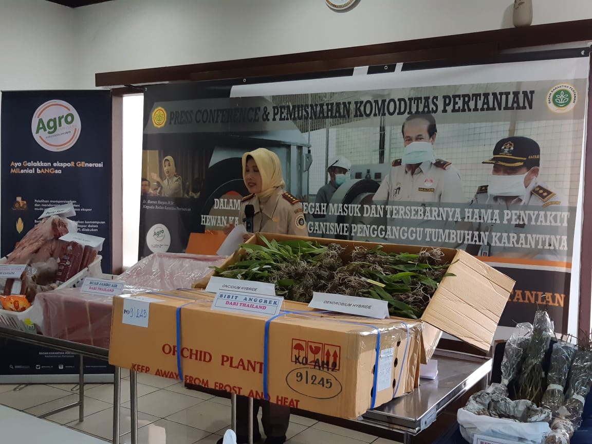 Balai Karantina Bandara Soetta Musnahkan Rempah Ilegal Asal India