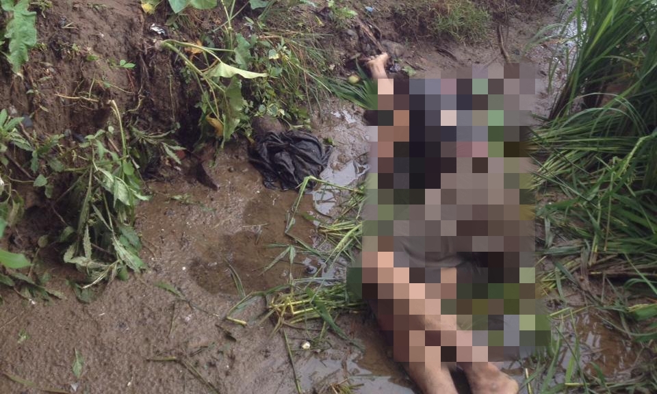 Mayat Diduga Pencuri Sarang Burung Walet Ditemukan di Persawahan