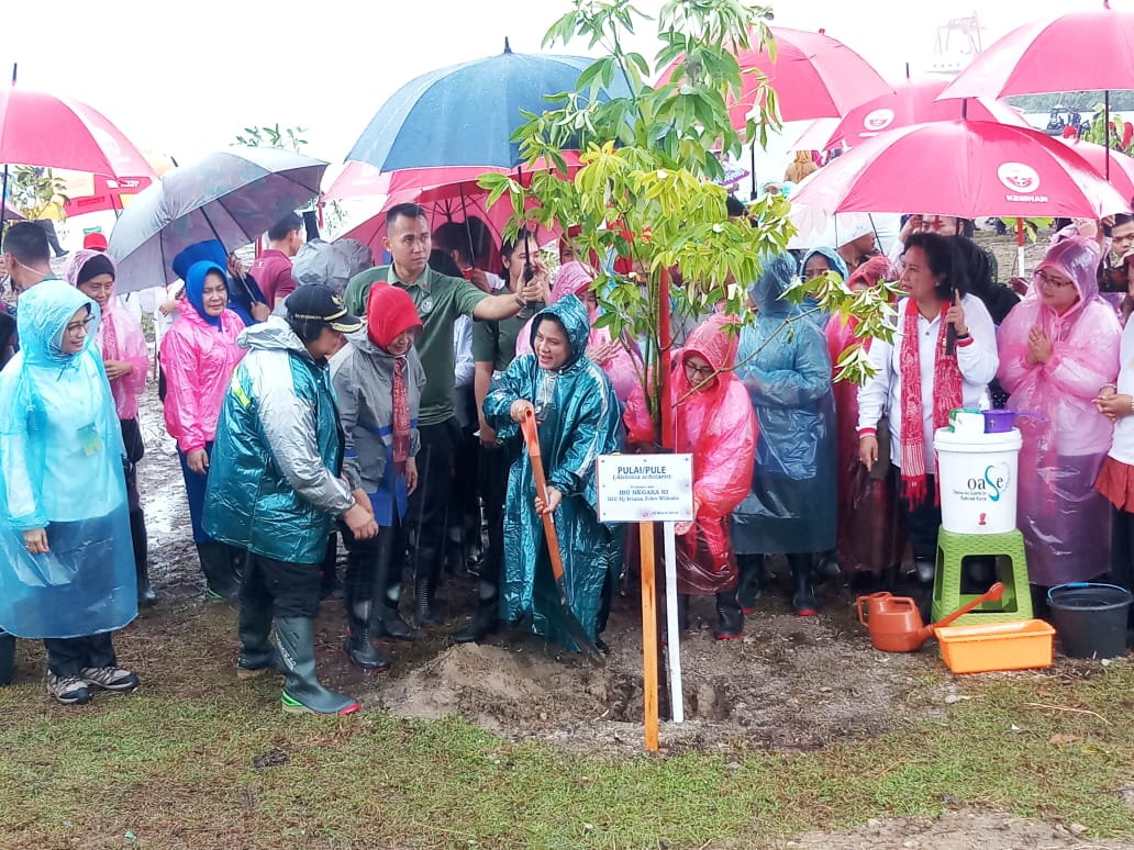 Iriana Jokowi Ajak Masyarakat Tanam Mangrove