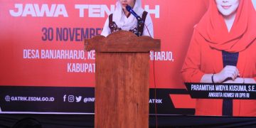 Paramitha Widya Kusuma