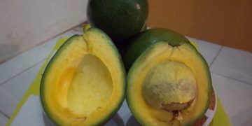 Dinas Ketahanan Pangan, Pertanian dan Perikanan (DKPPP) Pemerintah Kota (Pemkot) Depok menggelar festival buah