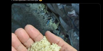 Isu Dugaan Korupsi Bansos Pandemi Covid 19 Di Era Anies Baswedan Gubernur DKI Jakarta