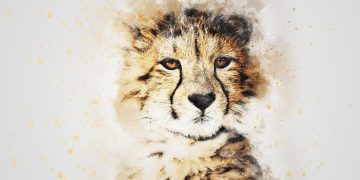 amalan astrologi China, Shio macan tahun 2023