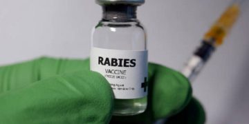 ilustrasi vaksin rabies (foto istockphoto.com)