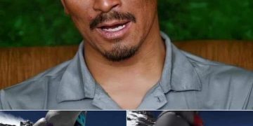 Pendaki Asal Malaysia Tidak Mengakui Diselamatkan Oleh Sherpa di Everest ( Twitter )