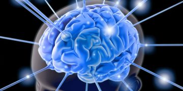 Ilustrasi otak manusia(freepek)