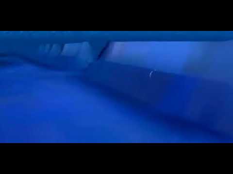 Fakta penemuan tembok raksasa di Papua(YouTube)