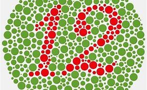 Buta Warna(istockphoto)