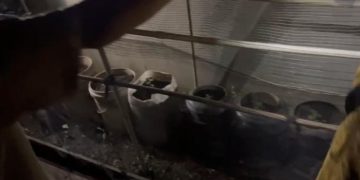 Pria asal Kalbar menanam 24 batang tanaman ganja dirumahnya (dok.Polda Kalbar)