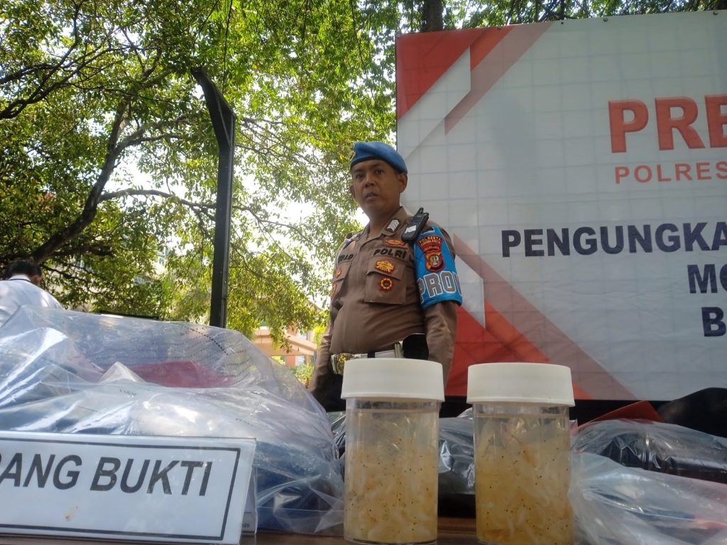 Barang bukti benih lobster di tampilkan ke hadapan awak media di Polres Bandara Soekarno-Hatta (RD/Suaranusantara)