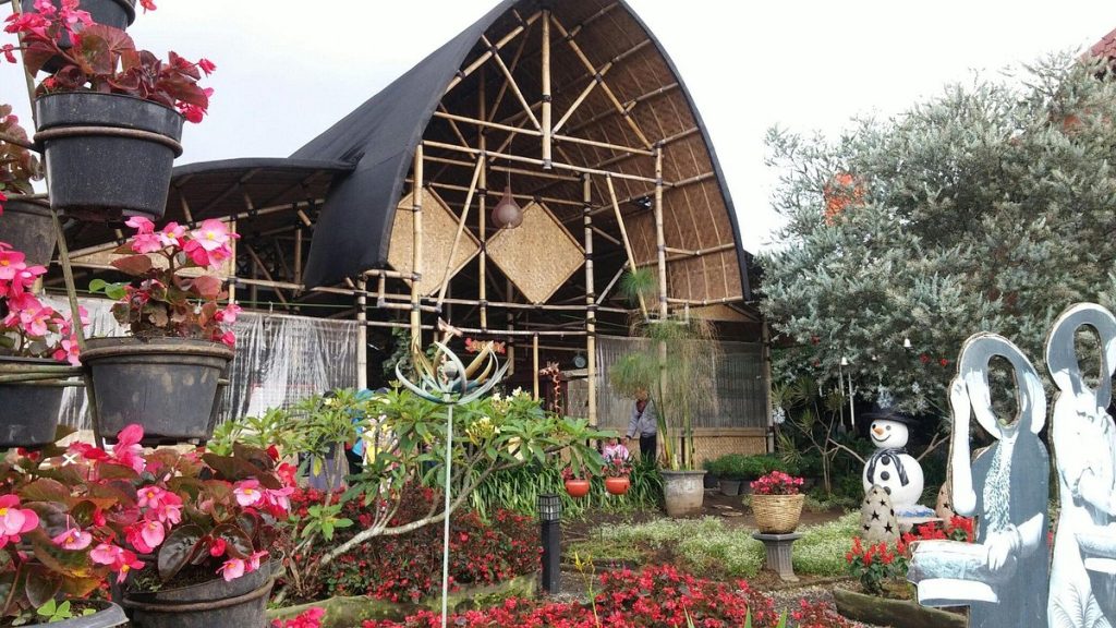 Kebun Begonia, Lembang, Bandung (Trip Advisor)