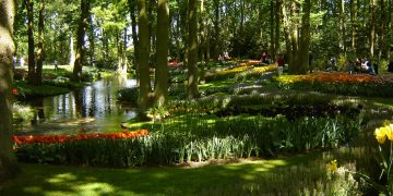 Keukenhof, Lisse, Belanda