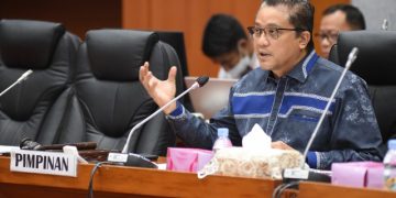 Dede Yusuf Macan Effendi (Dok DPR RI)