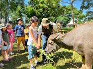 Scientia Square Park