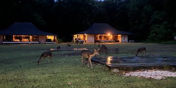 Taman Nasional Ujung Kulon, Banten (Dok ist)