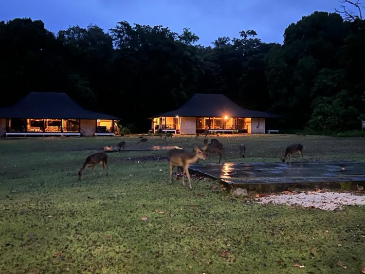 Taman Nasional Ujung Kulon, Banten (Dok ist)