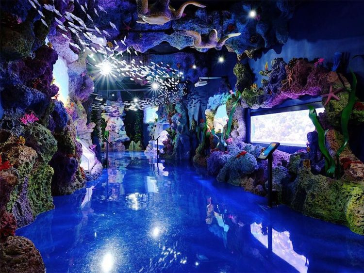 Jakarta Aquarium