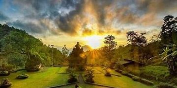Serunya Berwisata Alam di Hutan Desa Magelang, Ada Savana, Mini Zoo, dan Cafe