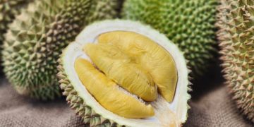 Ilustrasi durian (Dok iStock)