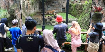 Kebun Binatang Bandung