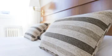 Paris Menghadapi Krisis Kutu Tempat Tidur Jelang Olimpiade 2024