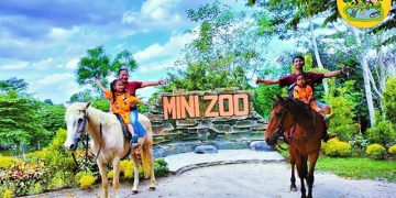 Mini Zoo Jogja Exotarium Wisata ramah anak, Berikut Harga dan Jadwal