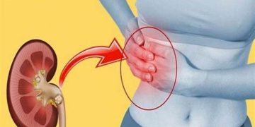 Organ Ginjal Anda Terancam? 9 Kebiasaan Ini Harus Dihindari