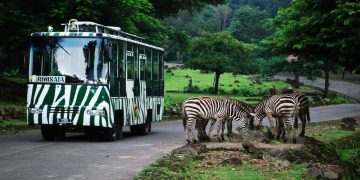 Safari 2024: Wisata Alam dan Keberlanjutan Menjadi Prioritas