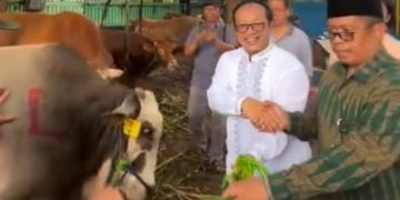 Romo A Hani Rudi Hartoko perwakilan dari Gereja Katedral sumbang sapi besar yang diserahkan ke Masjid Istiqlal untuk Idul Adha 2024 (instagram @katedraljakarta)