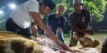 Al Muktabar saat memotong hewan kurban.(ist)