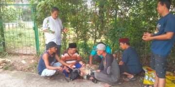 Prosesi Penyembelihan Hewan Kurban Kambing di Area Kantor Sekretariat JMSI Kota Tangerang