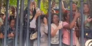 Bapa Suci Warga tumpah ruah berada di Gereja Katedral demi melihat Paus Fransiskus dari dekat Rabu 4 September 2024 (instagram @komsoskwi)