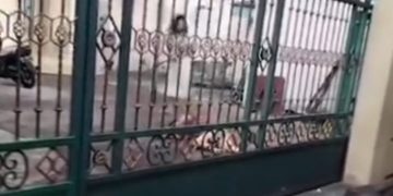 Aksi sadis dan keji seorang anak perempuan bacok ibu kandung di Makassar (instagram @mikopagan)