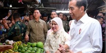 Presiden Jokowi Pantau Harga Kebutuhan Pokok di Pasar Dukuh Kupang Surabaya