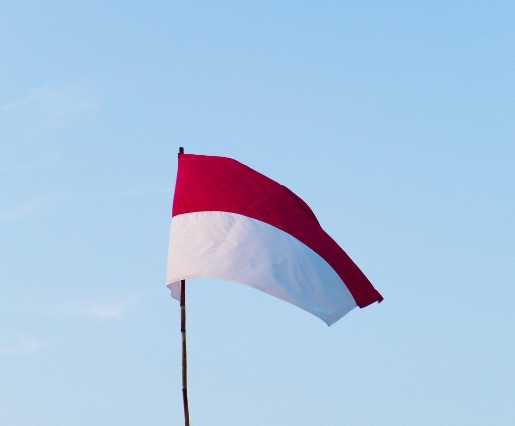 Ilutrasi bendera merah putih (Dok unplash)