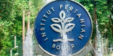IPB University