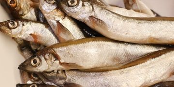 Cara Mengolah Ikan agar Gizinya Tidak Hilang